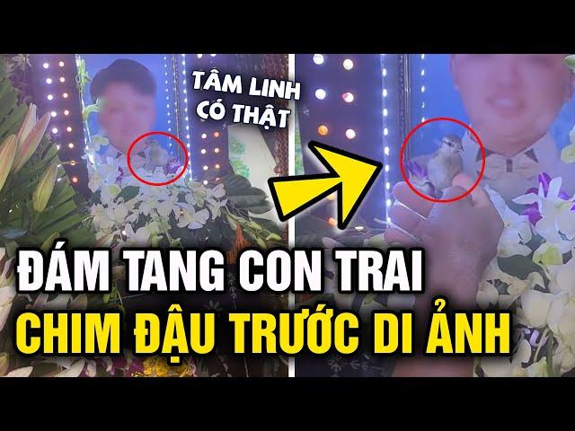 Người bố nghẹn ngào khi có 'CHIM LẠ' đậu trước 'DI ẢNH' con trong ngày 'TANG LỄ' | Tin 5s