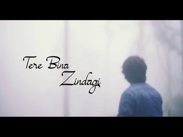 Tere Bina Zindagi Flute Cover | Varun Kumar | The Wind Stories