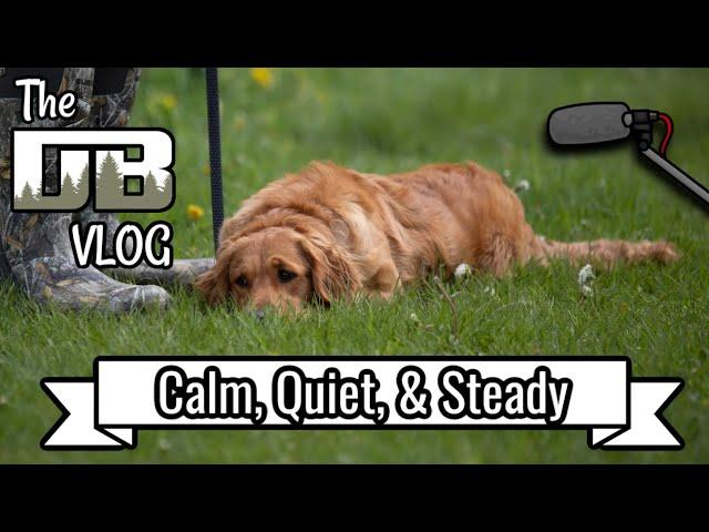 Developing Calm, Quiet, and Patient Dogs | Ep: #191