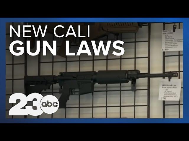 California's new landmark gun laws will hold providers of guns legally accountable