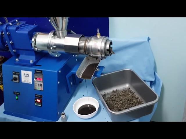 Oil Press - Oil expeller - SPU 40 Sunflower seeds