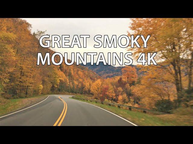 America's Most Visited National Park! - Fall Colors - Great Smoky Mountains 4K - Scenic Drive