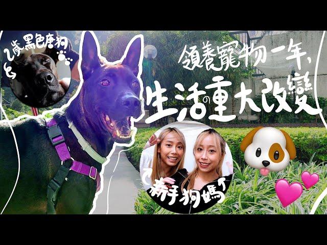 二人一犬同居領養唐狗生活從此不一樣!!!!️丨Boey&Poki