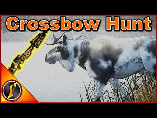 Hunting with Crossbows | theHunter: Call of the Wild 2018