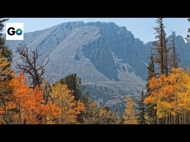 Great Basin National Park