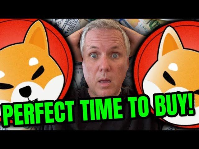 THE PERFECT TIME TO BUY SHIBA INU COIN AND GET RICH - REVEALED!