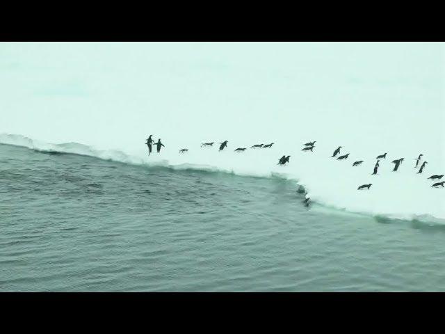 Math Behind Sea Ice & Our Changing Planet