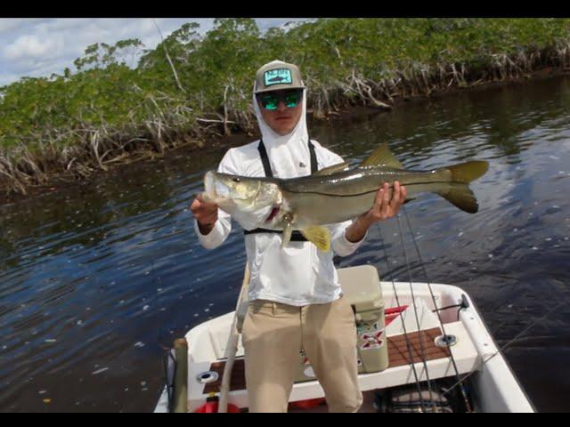 BIG SNOOK Season Has Arrived!!!