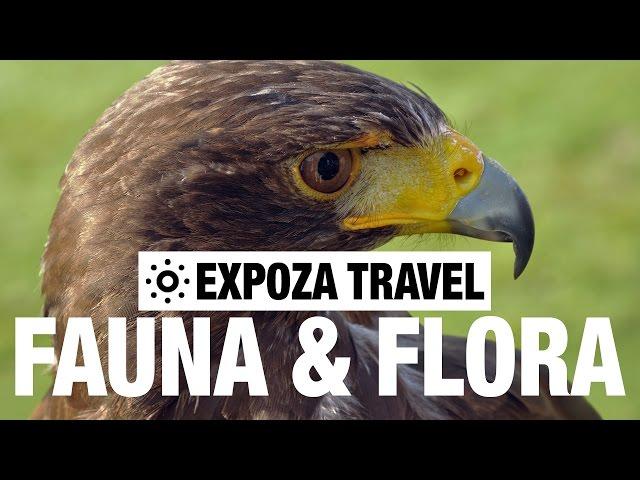 Fauna & Flora (Europe) Vacation Travel Guide