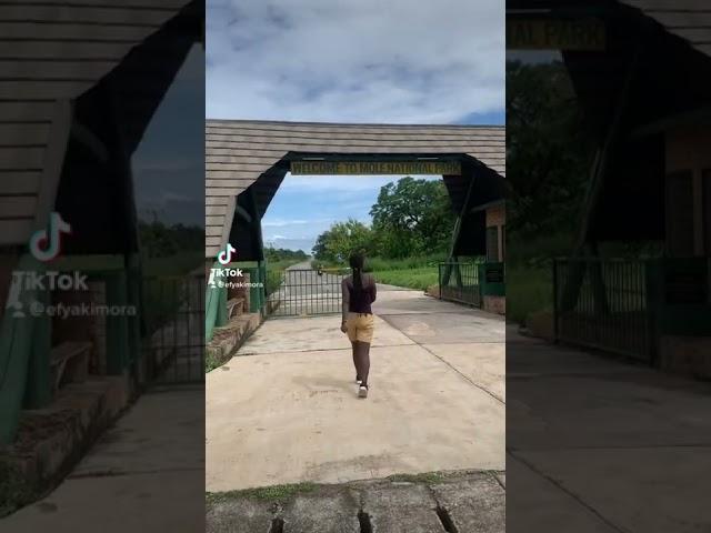 Have you watch my new upload? Don't forget to subscribe #ghana #africanamerican #exploreghana