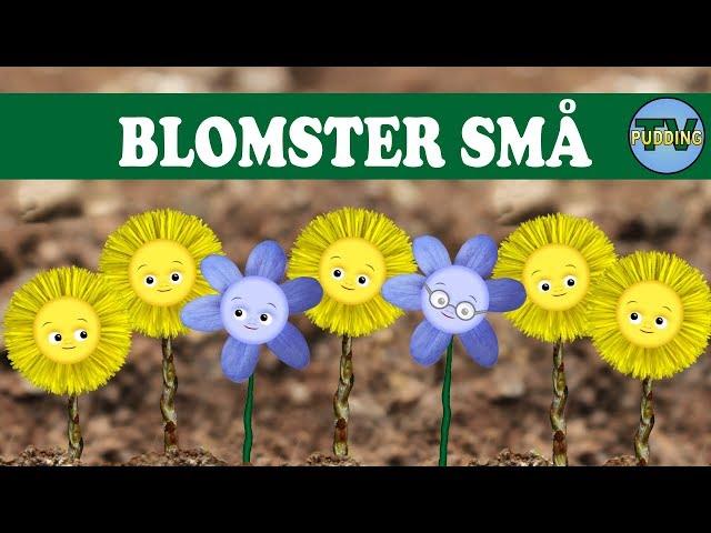Blomster små - Norske barnesanger
