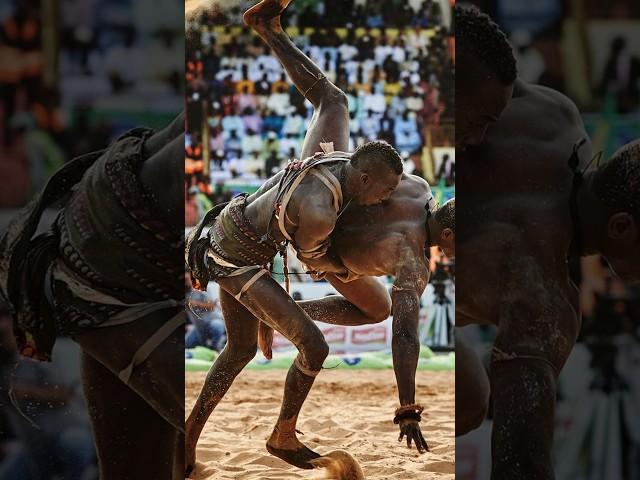 African Martial Arts | Laamb