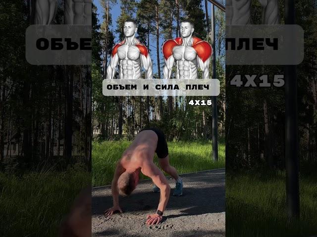 Сильные плечи уже в моем тг переходи ссылка в шапке профиля