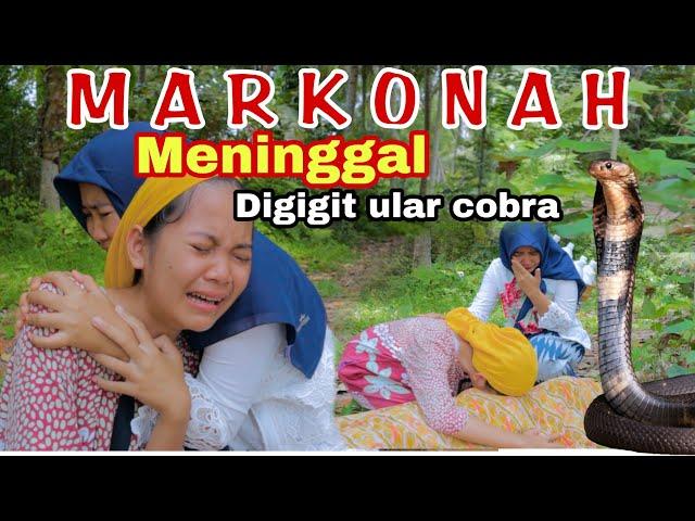  MARKONAH MENINGGAL DIGIGIT ULAR COBRA ⁉️ FILM PENDEK SEDIH - BALQIS MADU EPISODE 139