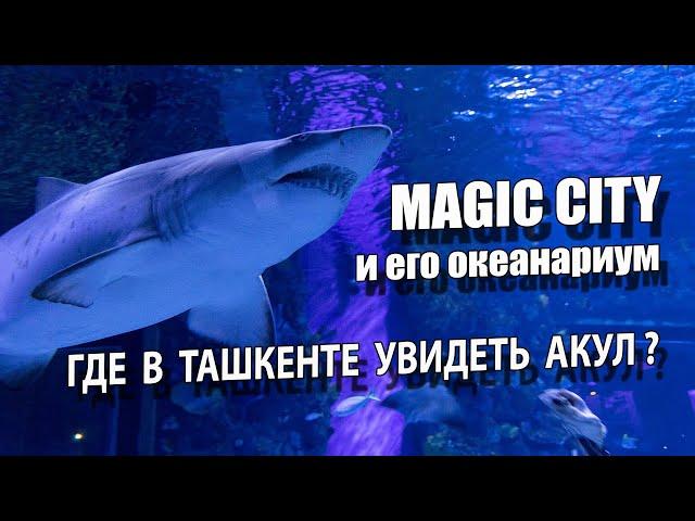 ГДЕ В ТАШКЕНТЕ УВИДЕТЬ АКУЛ ?: НЕВЕРОЯТНЫЙ ОКЕАНАРИУМ В MAGIC CITY.