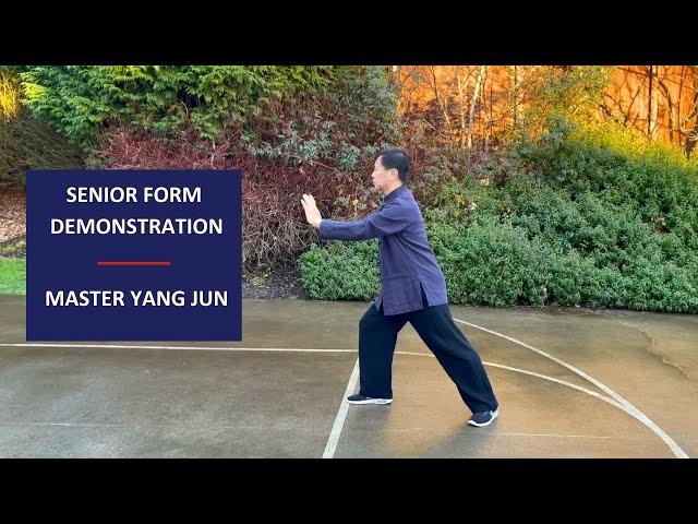 Master Yang Jun / Senior Form Demonstration