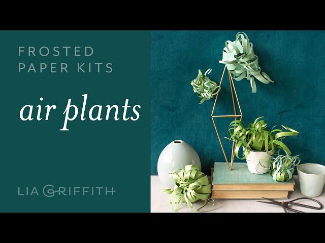 DIY Stunning Paper Air Plants : Easy to Use - Frosted Paper Kit (full tutorial)