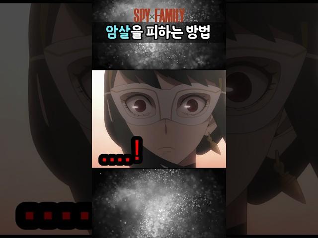 최강 암살자 요르가 킬러들을 상대하는 방법