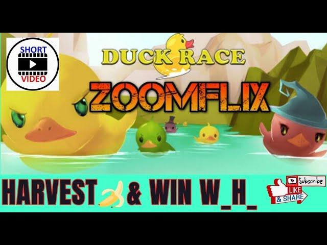  COMMENT IN THE PINNED LINK TO PLANT & HARVEST   JOIN DUCK RACE & WIN _W_H_