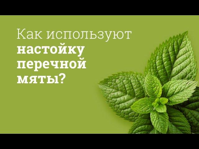 Настойка мяты перечной: инструкция по применению