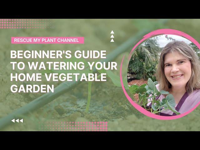 Beginner's Guide to Watering Your Home Vegetable Garden  | When, How, and How Much