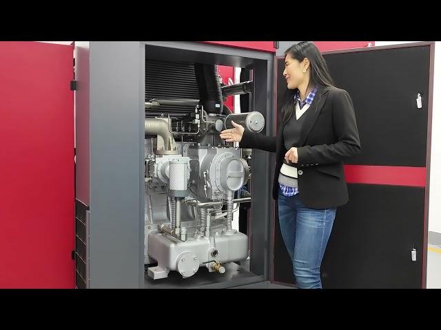 Cleaner Air, Better Performance: Oil Free Screw Air Compressor Benefits - Sollant Compressor