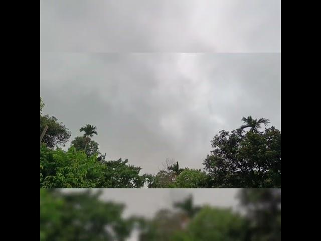 Monsoon Romance                        #youtubeshorts  #shorts  #shortsvideo