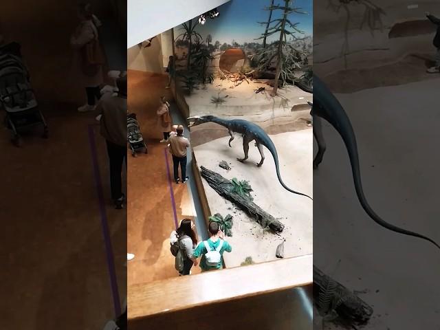 Музей Естествознания Штутгарт