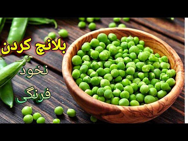 cooking with shakiba بلانچ کردن نخود فرنگی : نگه داری طولانی مدت نخود فرنگی