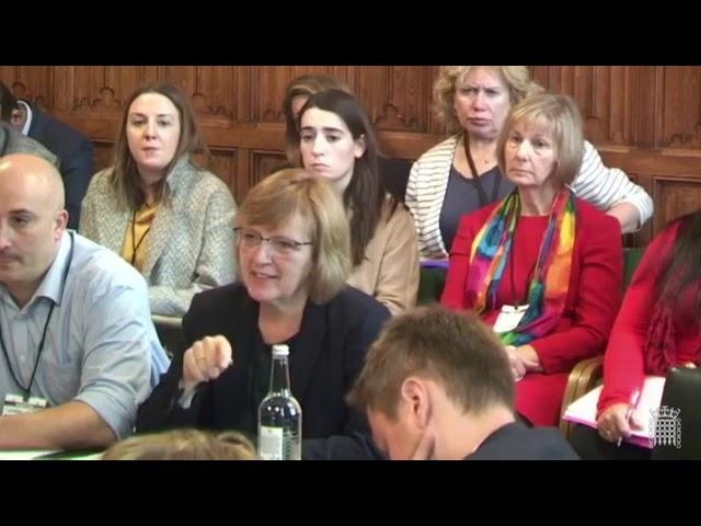 Education Select Committee 23/10/18