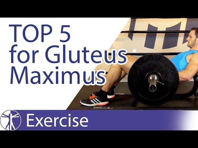 Top 5 Gluteus Maximus Exercises