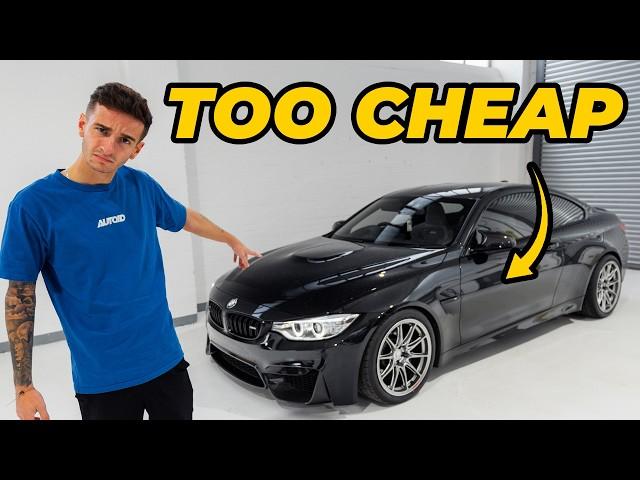 WHY YOU SHOULD BUY A F82 M4 IN 2024 | MSS & Evolve Dampers 2FORGE ZF8 Wheels & Handling Upgrade