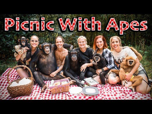 WILD FAMILY PICNIC WITH APES | Myrtle Beach Safari