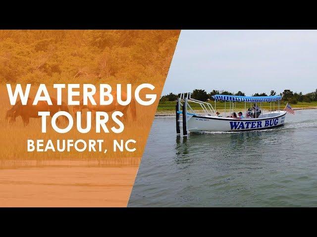 Waterbug Tours in Beaufort | North Carolina Weekend | UNC-TV