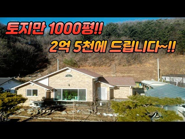 토지만 1000평 /2억 5천에 드립니다 / 정남향 / 넓은 텃밭