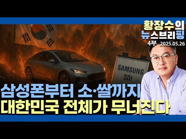 4부:경제 붕괴 조짐 / 연말 (-) 성장 자영업자 초토화 / 삼성폰·전기차·배터리·소·쌀도 폭탄 / 영끌 빚 폭탄(2025.05.26)