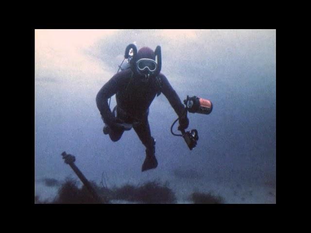 Signy Island, Antarctica, divers & diving, 1984 87