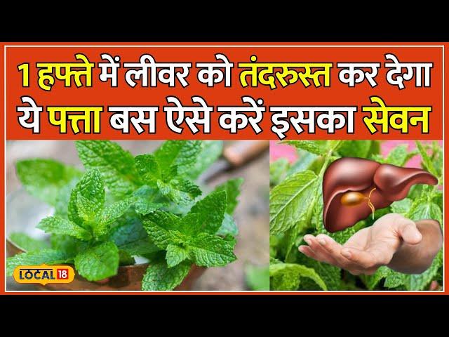 Benefits Of Mint: पुदीने की पत्तियों में होते हैं गुणकारी तत्व, सेहत को पहुंचाएंगे कई फायदे #local18