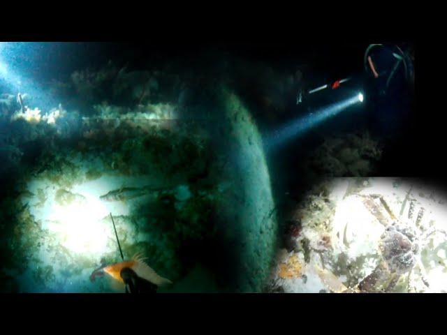 SPEARFISHING IN THE CARIBBEAN DARK DIVE #fishing #spearfishing #caribbean #crab    #hogfish