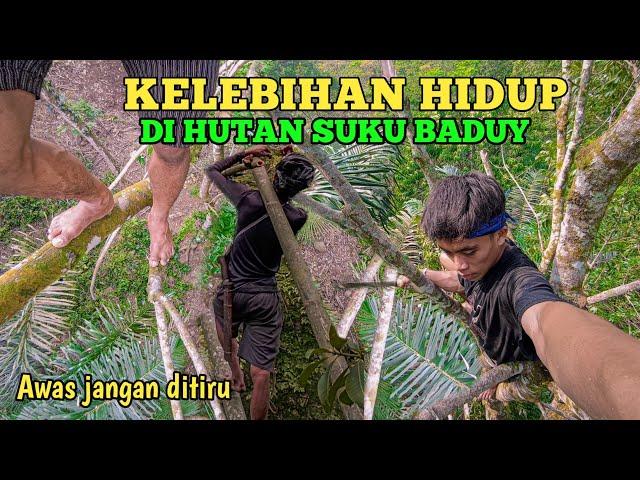 kelebihan Hidup di hutan suku Baduy