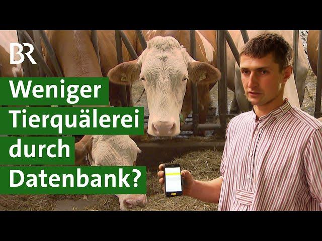 Mehr Tierschutz: Wie sinnvoll ist eine Datenbank für Tiergesundheit? | Tierwohl | Unser Land | BR