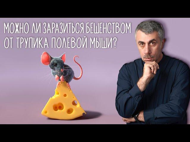 Можно ли заразиться бешенством от трупика полевой мыши? - Доктор Комаровский