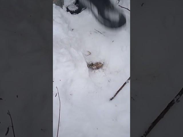 добыча алюминия