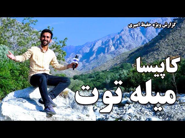 Kapisa, the mulberry feast in Hafiz Amiri report/ کاپیسا، میله توت در گزارش حفیظ امیری