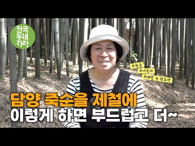 [전국동네자랑 #55] 담양죽순 제철은? #죽순 #이윤자 #대나무 #대밭속황토방 #전남담양 #죽로차