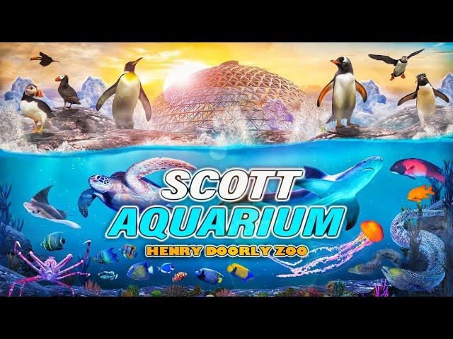 Zoo Tours: America's Greatest Zoo-Aquarium | Omaha's Henry Doorly Zoo