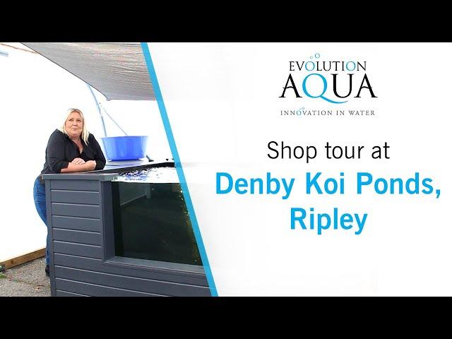 Shop tour at Denby Koi Ponds