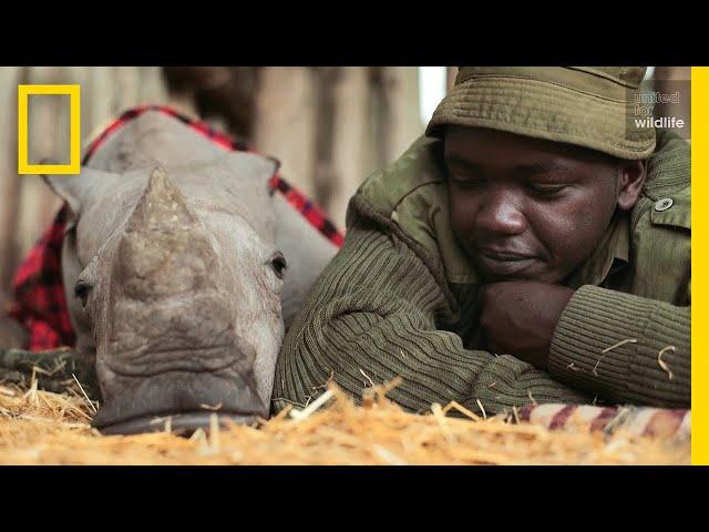 Meet the Heroes Who Protect the Last Northern White Rhinos in the World | Short Film Showcase