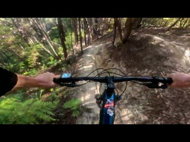 Remedy @ Kaiteriteri MTB Park