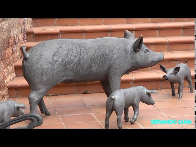 VISITANDO LA VILLA DE INGENIO EN GRAN CANARIA 2020 SERVANDO OLIVA